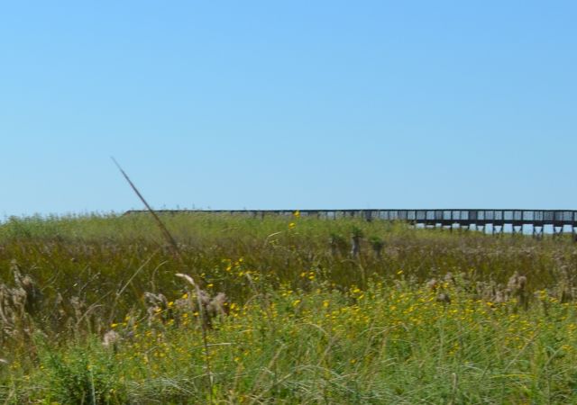 Texas Marine Pile Drivers Galveston TX piling and building strong bridges